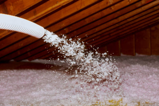 Best Geographic-Specific Insulation Services in Soddy Daisy, TN