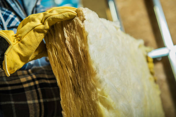Best Eco-Friendly Insulation in Soddy Daisy, TN