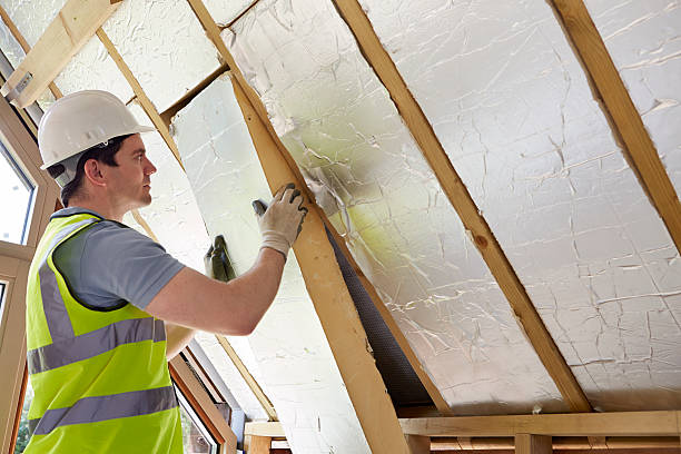Best Specialized Insulation Services in Soddy Daisy, TN